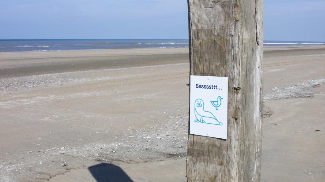Noordvoort 1 Foto George Hageman.JPG