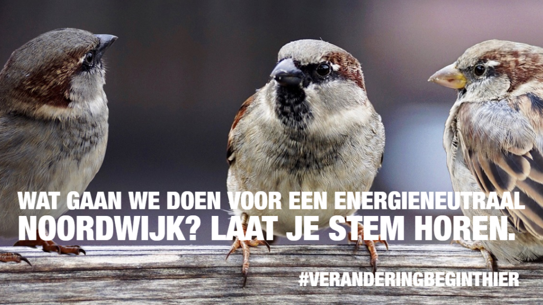 GroenLinks Noordwijk De Zilk Noordwijkerhout verkiezingen