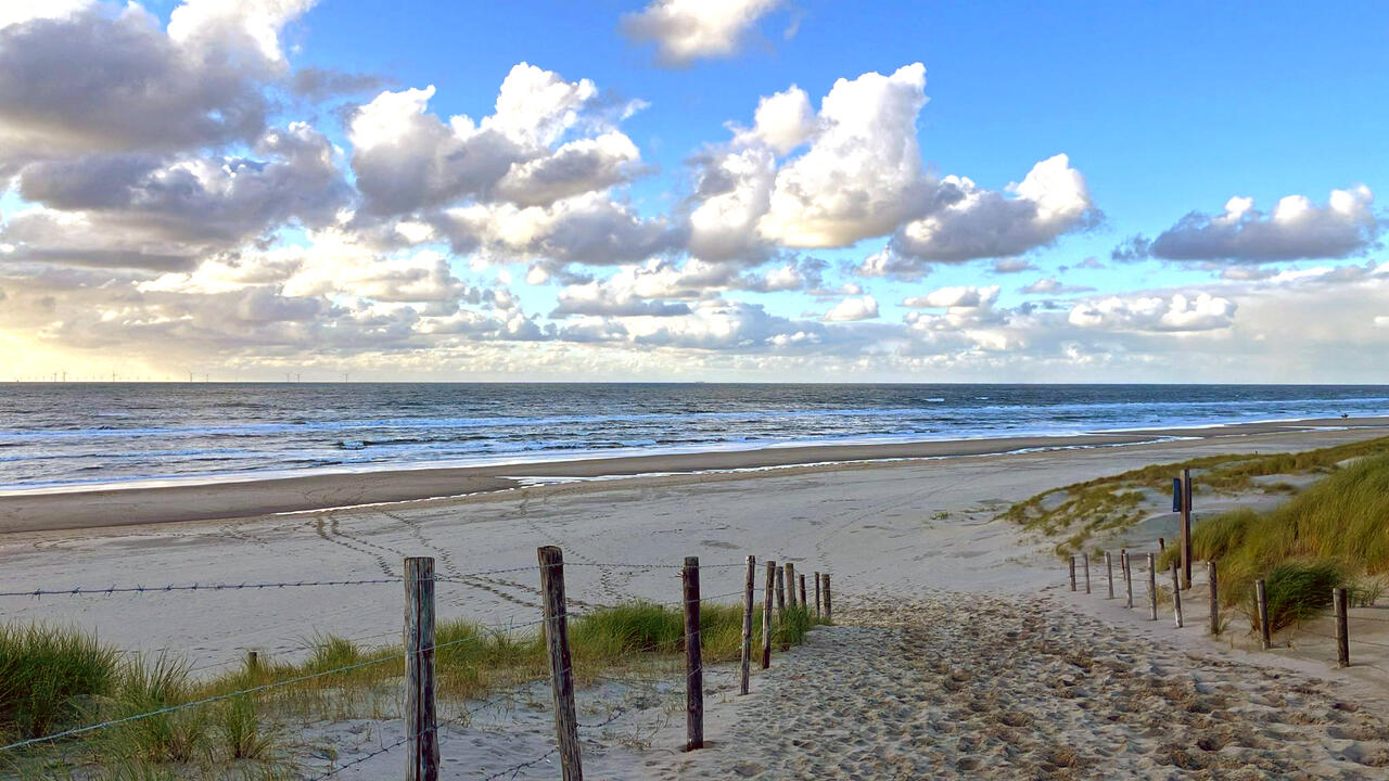 Zon, zee, strand, duinen